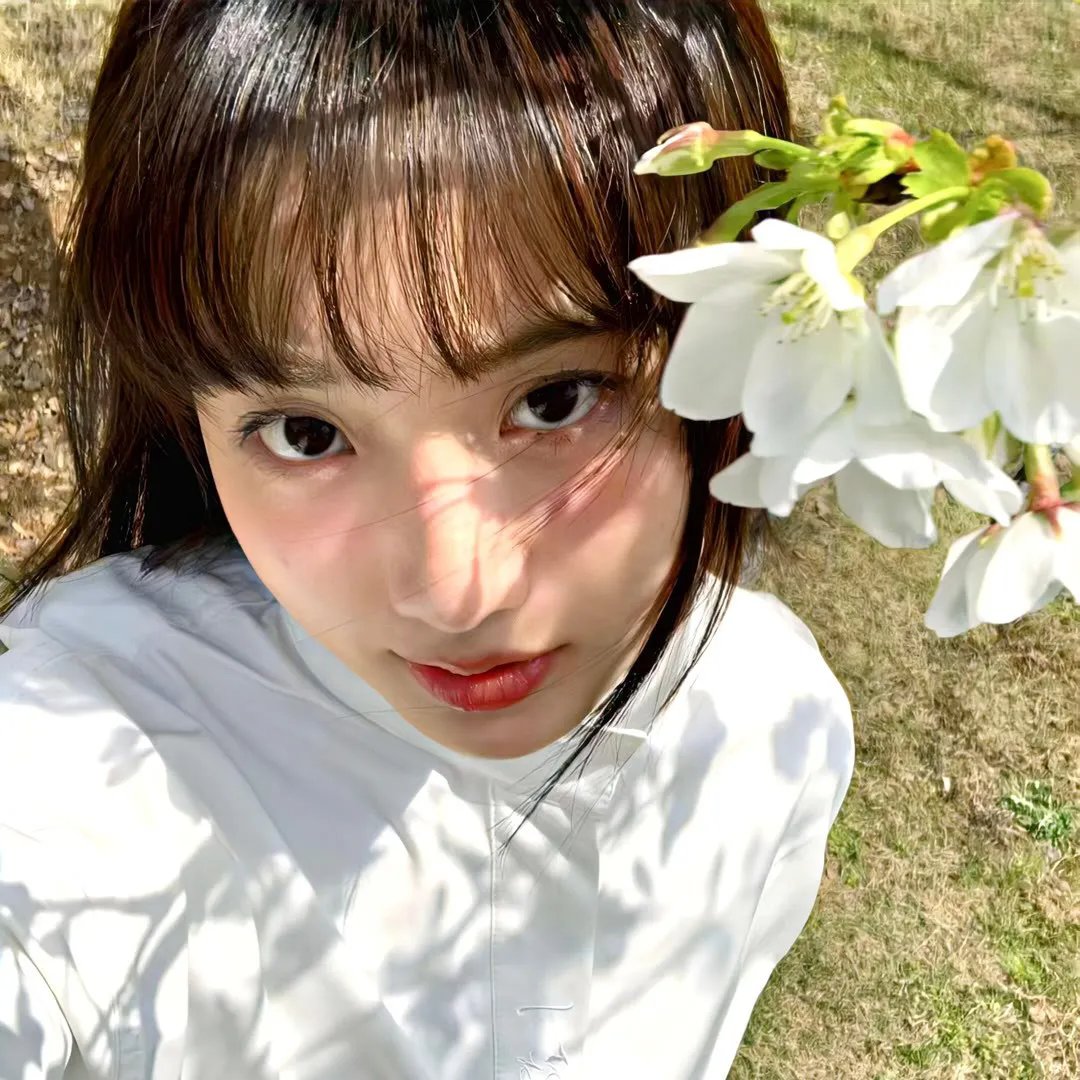 格桑花开的时候